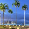 Panama City - Cinta Costera 3