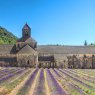 Sénanque Abbey, Provence, France
