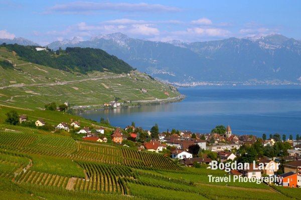 Domeniile viticole Lauvaux, pe malul lacului Geneva, Elveția