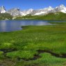 Fenetre Lake - green meadow